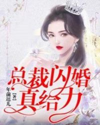 总裁闪婚真给力