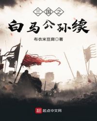 三国之白马公孙续