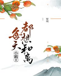 小霸王每天都想和离